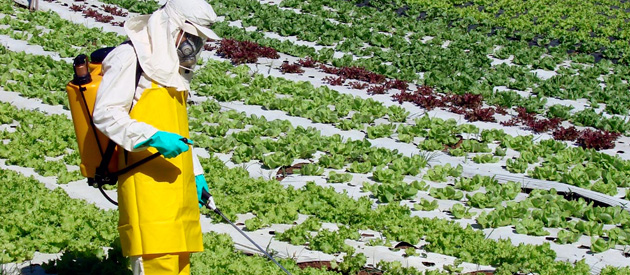 Leia mais sobre o artigo Luiz Paulo pede que comercio de mudas não seja proibido pois é atentar contra a economia regional