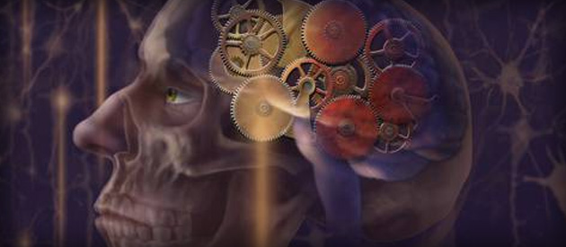 Leia mais sobre o artigo Luiz Paulo comenta reportagem sobre descoberta de proteína que pode ajudar a desvendar o Mal de Alzheimer e criar novas drogas para combatê-lo