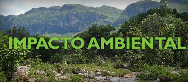 Leia mais sobre o artigo Luiz Paulo pede transparência em projeto que prevê compensação financeira por impacto ambiental
