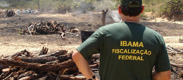 Leia mais sobre o artigo Comissão de Tributação realiza Audiência Pública para discutir acordo entre Ibama e Inea