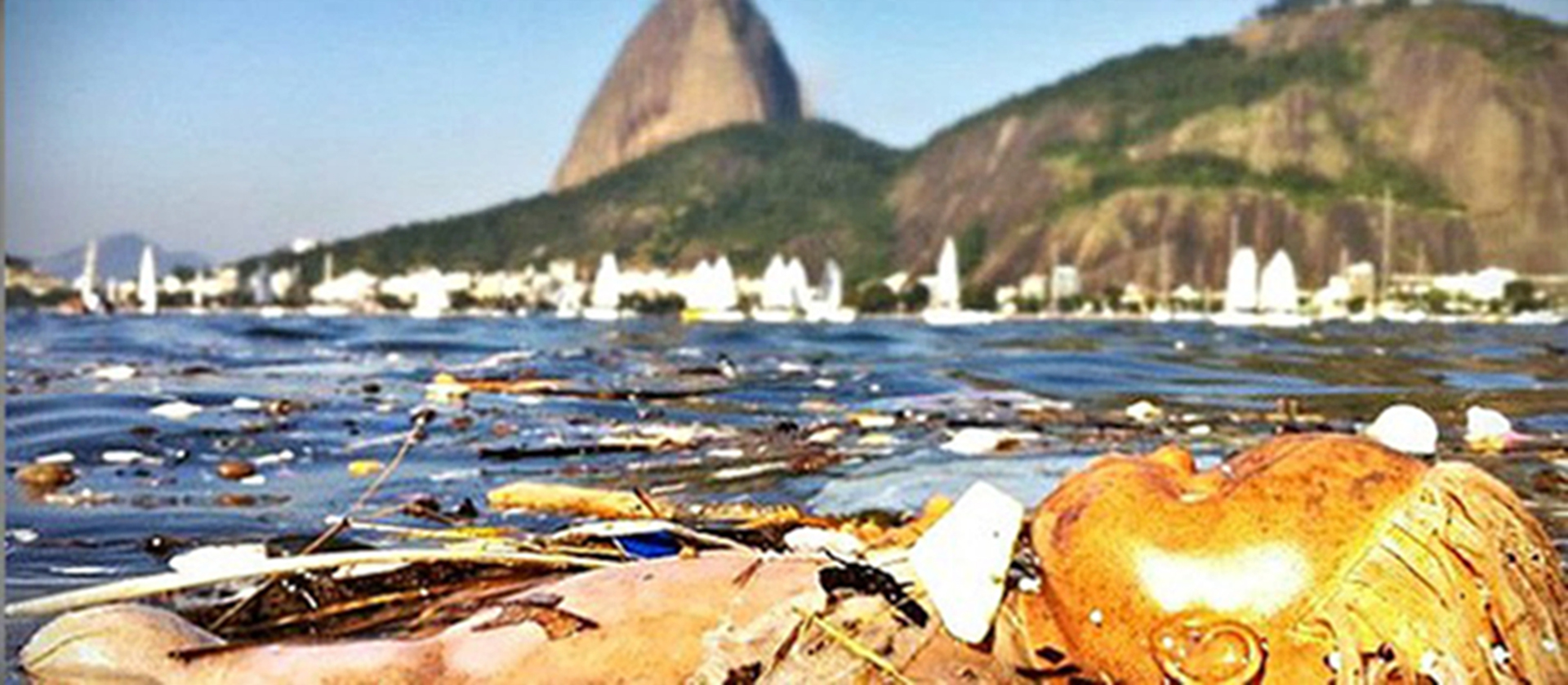 Despoluição da Baía de Guanabara – a explicação do insucesso