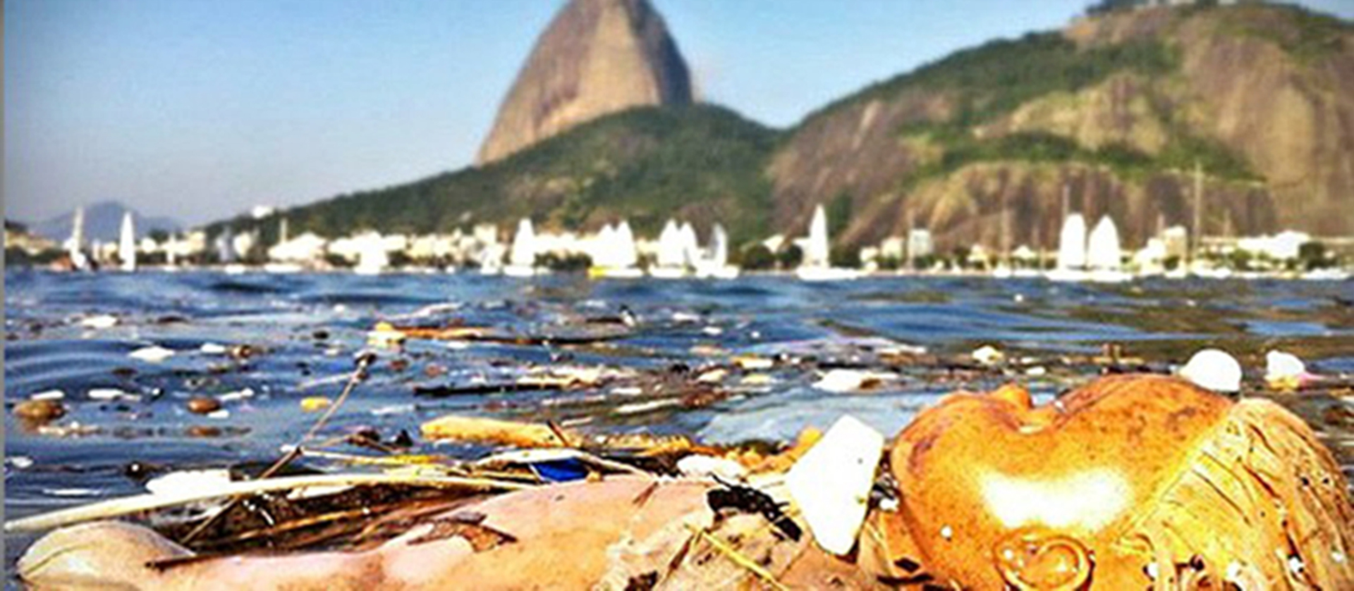Leia mais sobre o artigo Despoluição da Baía de Guanabara – a explicação do insucesso