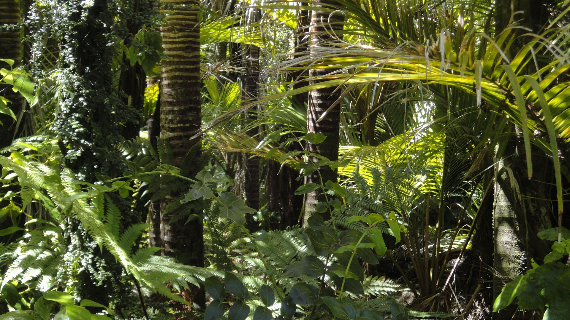 A devastação da natureza e da educação, por Luiz Paulo